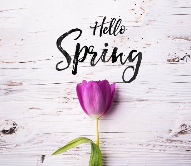 hello-spring