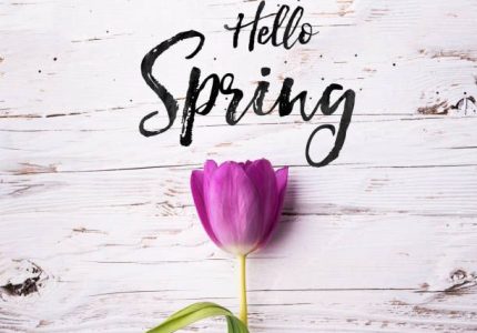 hello-spring